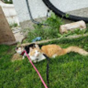 Meet your Posher, Madelaine